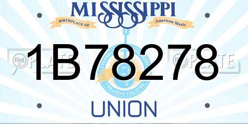 1B78278 Mississippi License Plate