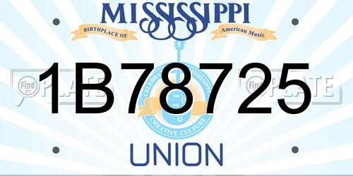 1B78725 Mississippi License Plate