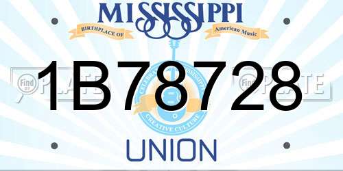 1B78728 Mississippi License Plate