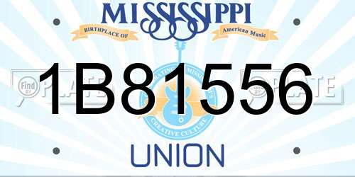 1B81556 Mississippi License Plate