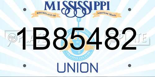 1B85482 Mississippi License Plate