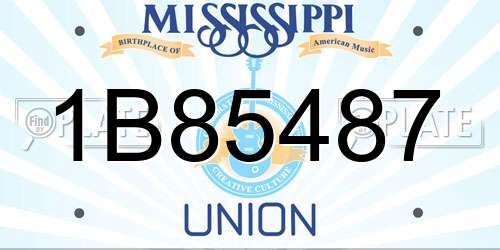 1B85487 Mississippi License Plate