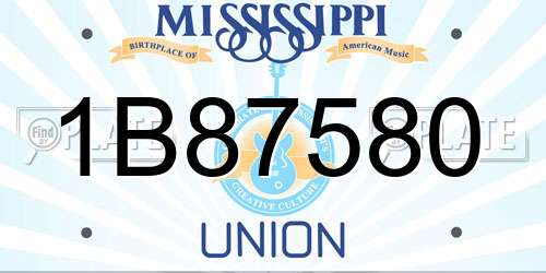 1B87580 Mississippi License Plate