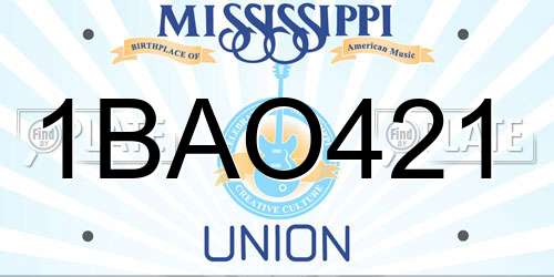1BAO421 Mississippi License Plate
