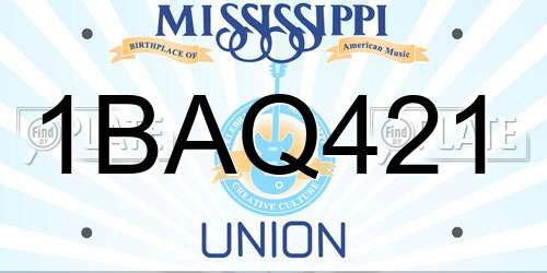 1BAQ421 Mississippi License Plate