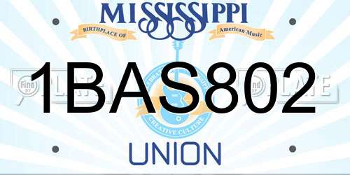 1BAS802 Mississippi License Plate