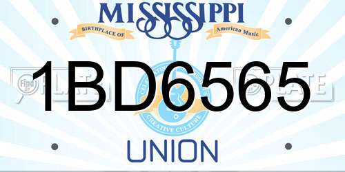 1BD6565 Mississippi License Plate