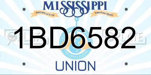 1BD6582 Mississippi License Plate
