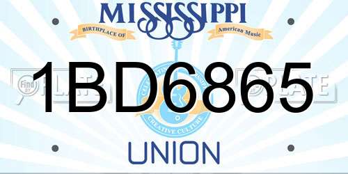1BD6865 Mississippi License Plate