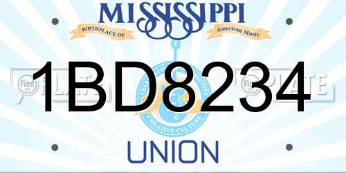 1BD8234 Mississippi License Plate