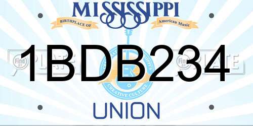 1BDB234 Mississippi License Plate