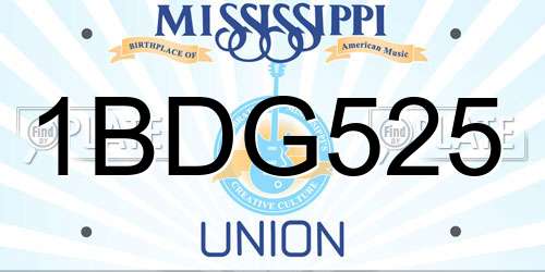 1BDG525 Mississippi License Plate