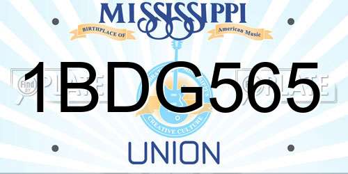 1BDG565 Mississippi License Plate