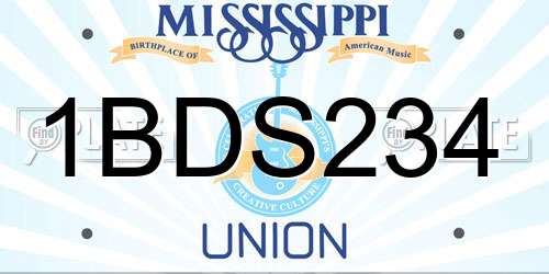 1BDS234 Mississippi License Plate