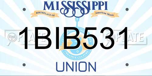 1BIB531 Mississippi License Plate