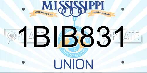 1BIB831 Mississippi License Plate
