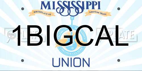 1BIGCAL Mississippi License Plate