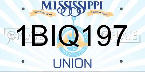 1BIQ197 Mississippi License Plate
