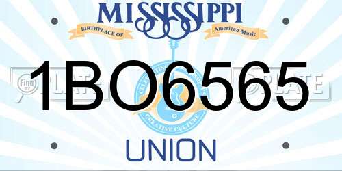 1BO6565 Mississippi License Plate