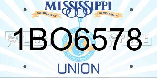 1BO6578 Mississippi License Plate