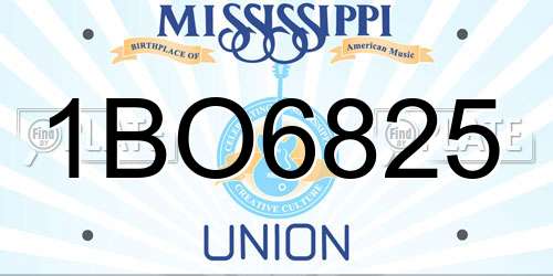 1BO6825 Mississippi License Plate