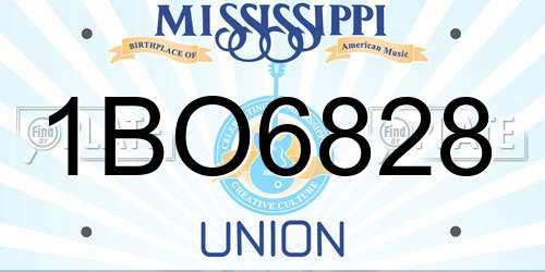 1BO6828 Mississippi License Plate