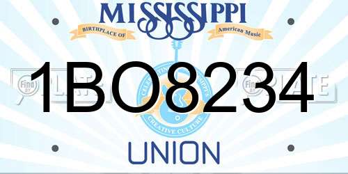 1BO8234 Mississippi License Plate