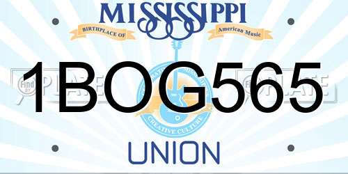 1BOG565 Mississippi License Plate