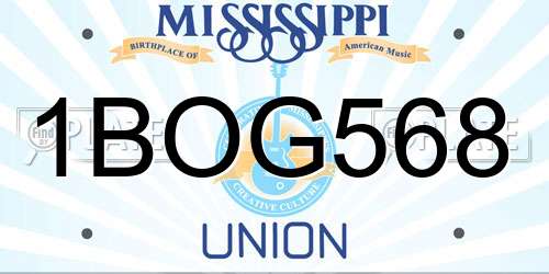 1BOG568 Mississippi License Plate