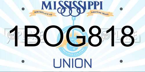 1BOG818 Mississippi License Plate
