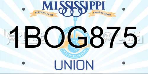 1BOG875 Mississippi License Plate