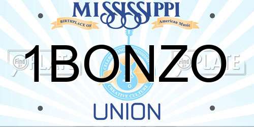 1BONZO Mississippi License Plate