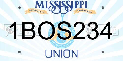 1BOS234 Mississippi License Plate