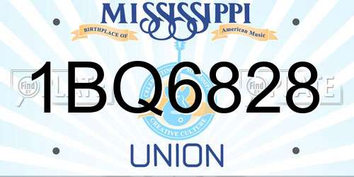 1BQ6828 Mississippi License Plate