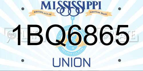 1BQ6865 Mississippi License Plate