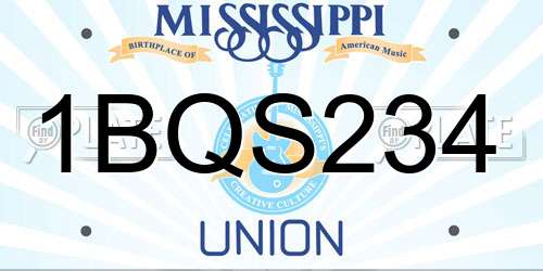 1BQS234 Mississippi License Plate