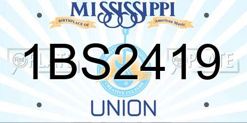 1BS2419 Mississippi License Plate