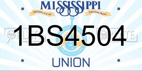 1BS4504 Mississippi License Plate
