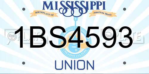 1BS4593 Mississippi License Plate