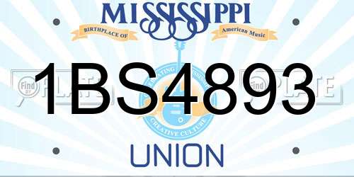 1BS4893 Mississippi License Plate