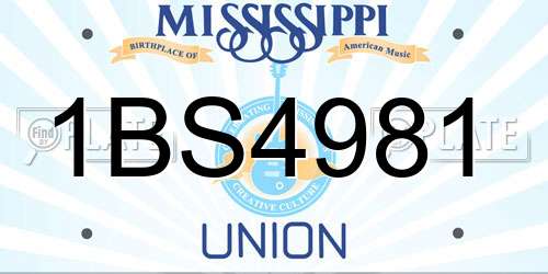 1BS4981 Mississippi License Plate