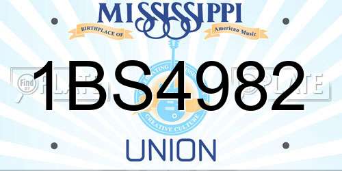 1BS4982 Mississippi License Plate