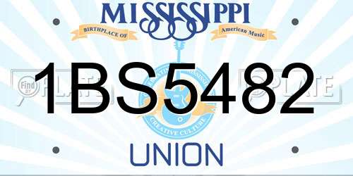 1BS5482 Mississippi License Plate