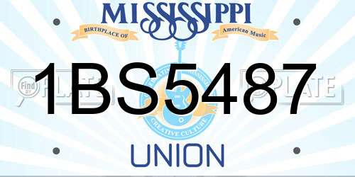 1BS5487 Mississippi License Plate