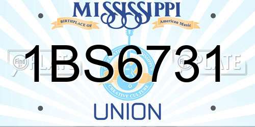1BS6731 Mississippi License Plate
