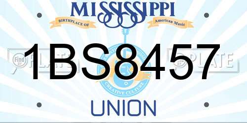 1BS8457 Mississippi License Plate
