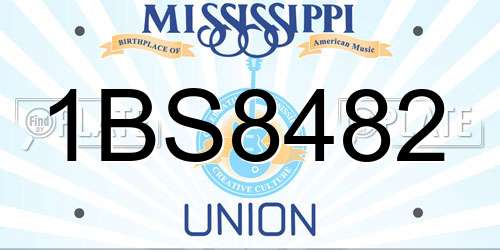 1BS8482 Mississippi License Plate