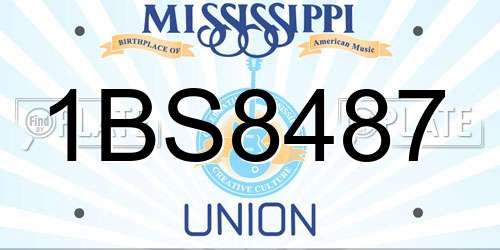 1BS8487 Mississippi License Plate