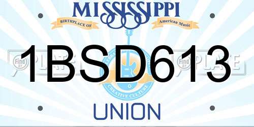 1BSD613 Mississippi License Plate