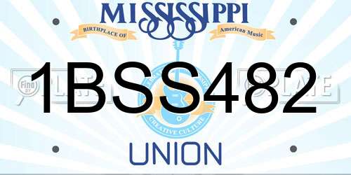 1BSS482 Mississippi License Plate